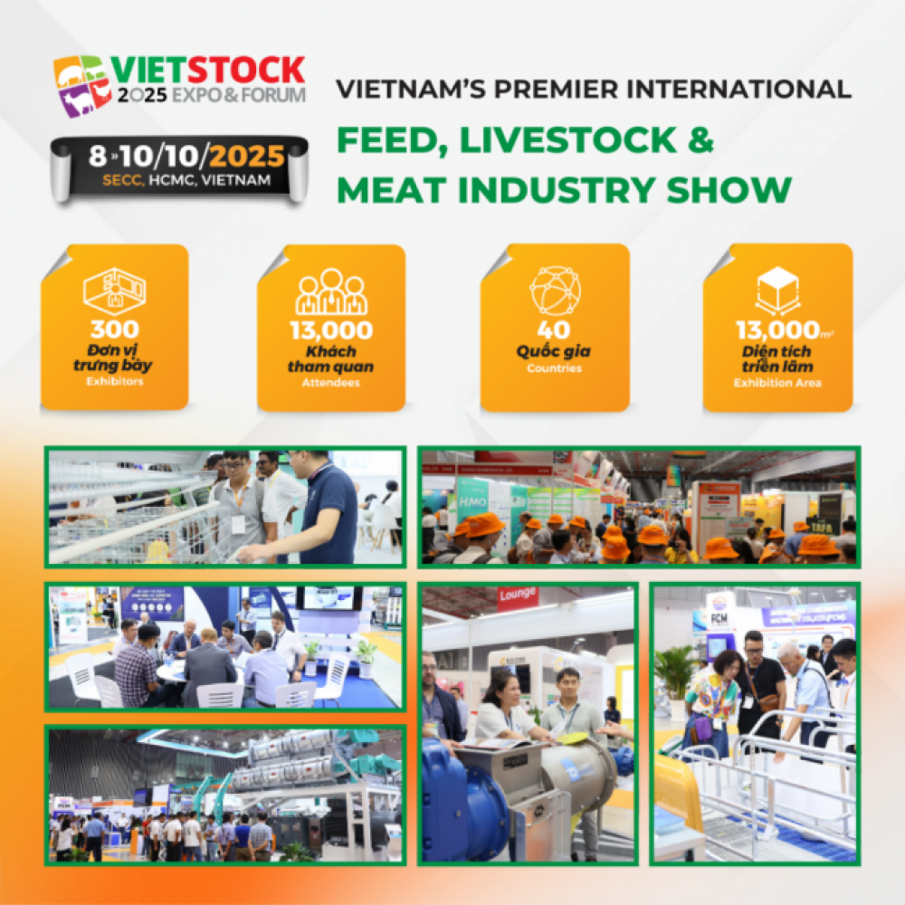 Designs booth 2025